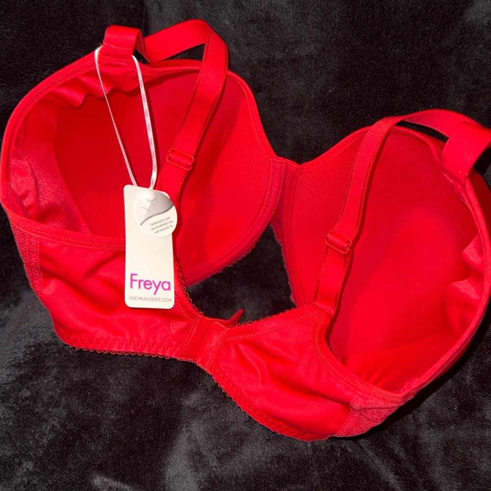 Freya Vibrant Red Lace Offbeat Demi T-shirt Bra, AA5450 - Picture 7 of 13
